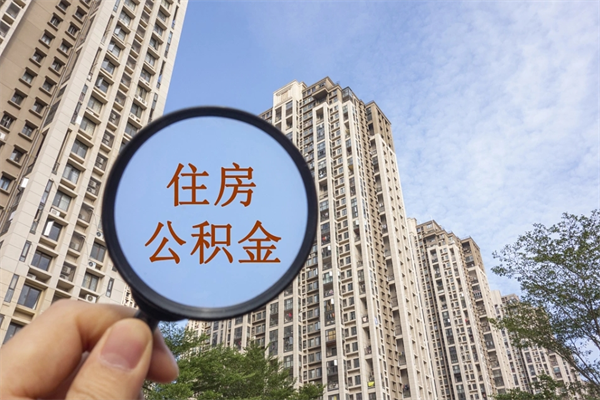 淄博离职多久可以取住房公积金(离职多久后能取公积金) 淄博离职多久可以取住房公积金(离职多久后能取公积金)